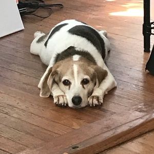 Meet your Posher, Jonathan